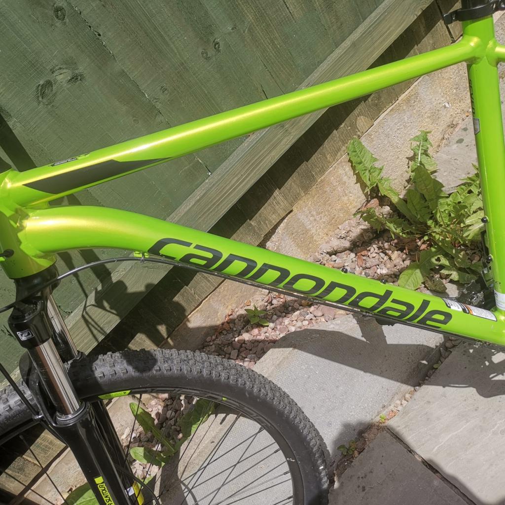 Cannondale trail 7 online acid green