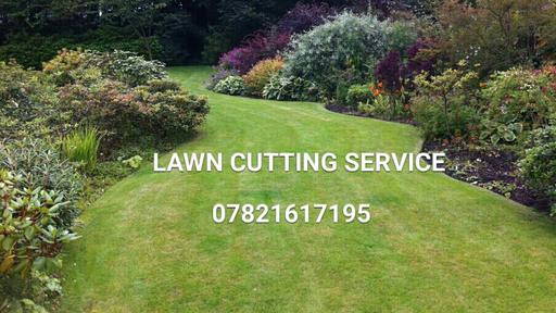 Buy & Sell Staffordshire South Staffordshire - Photos for Wolverhampton area Grass Cutting Services