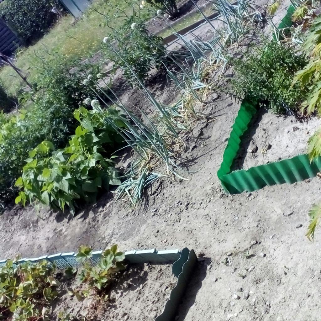 Garten in Gartenanlage in Bautzen in 99326 Stadtilm für 250