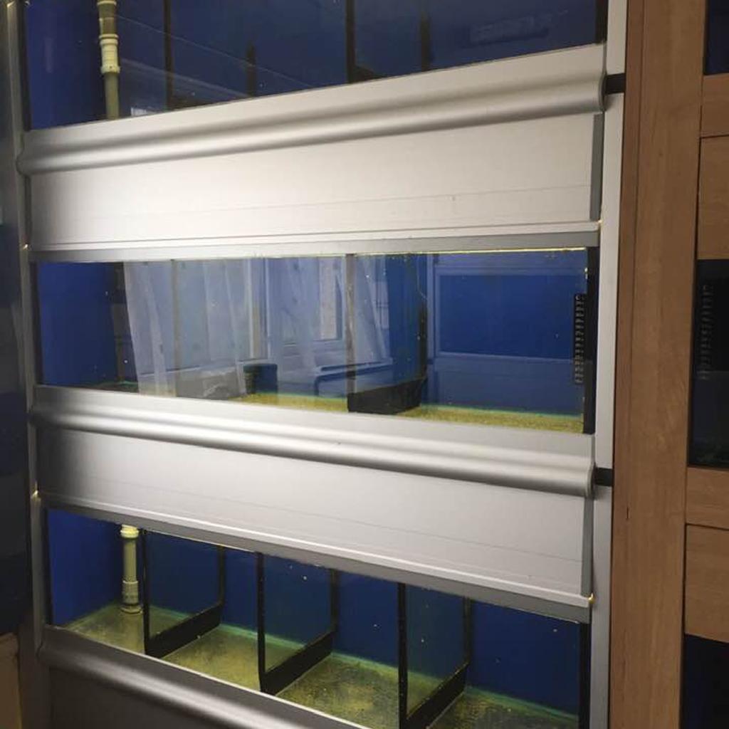 Multiple aquarium rack for cheap sale