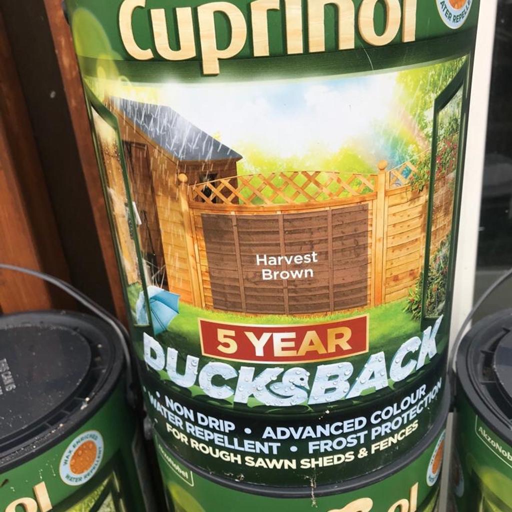 5L Cuprinol Fence paint £8 or 2 for £15 in SE12 London Borough of