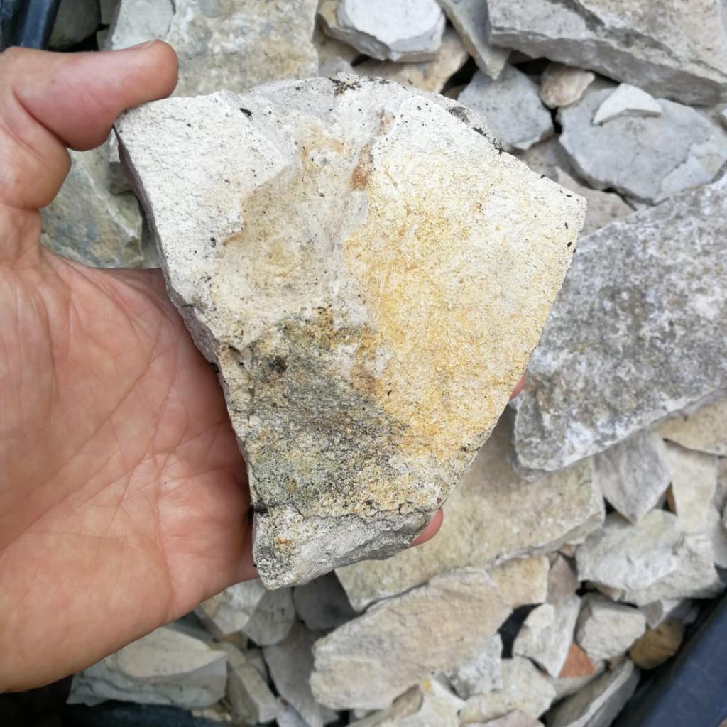 Steine zum verschenken in 67133 Maxdorf für gratis zum Verkauf Shpock DE