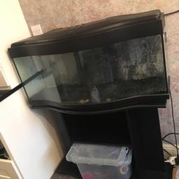 Not owned for long, no time for maintenance and need a quick sale.
Stand: height is 27.5 inches width 40 inches
Tank: height is 20 inches width 40 inches
Comes with pump, light, heater, random ornaments, carbon, tank medicine, fish food etc.