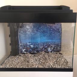 Fish tank comes with equipment in very good condition collection as I can't deliver and drive cash in hand no returns
