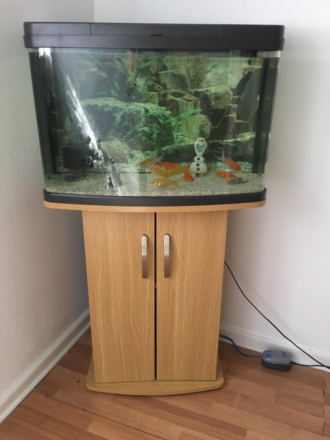 68 litres fish tank in E14 Hamlets für 80,00 £ zum Verkauf Shpock DE