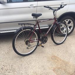 Grab a bargain only £70 men's Raleigh Nitro bike in good condition