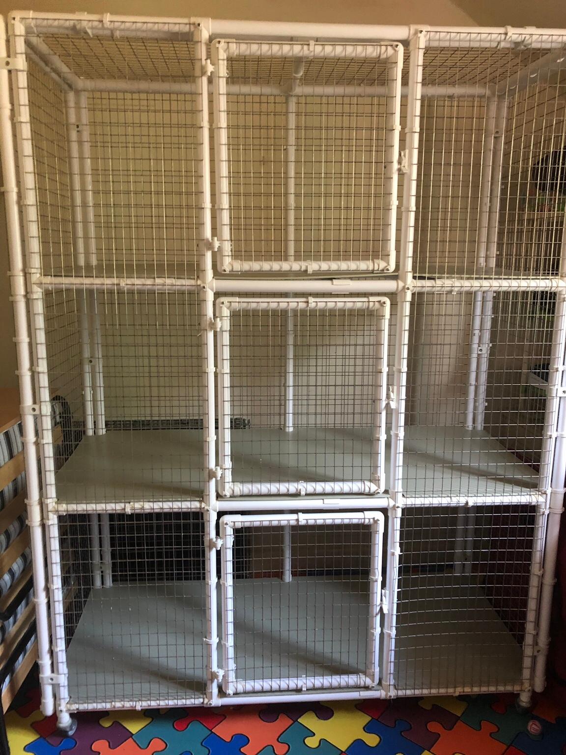 Cat breeding cages in Johnstown for £550.00 for sale Shpock