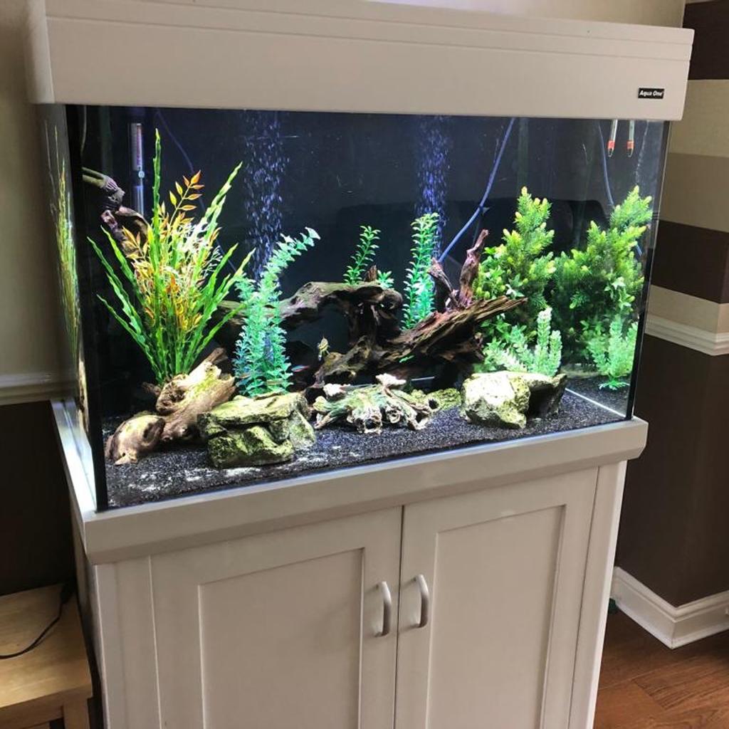 Aqua one Aquarium and fish tank whit in M30 Salford for £300.00