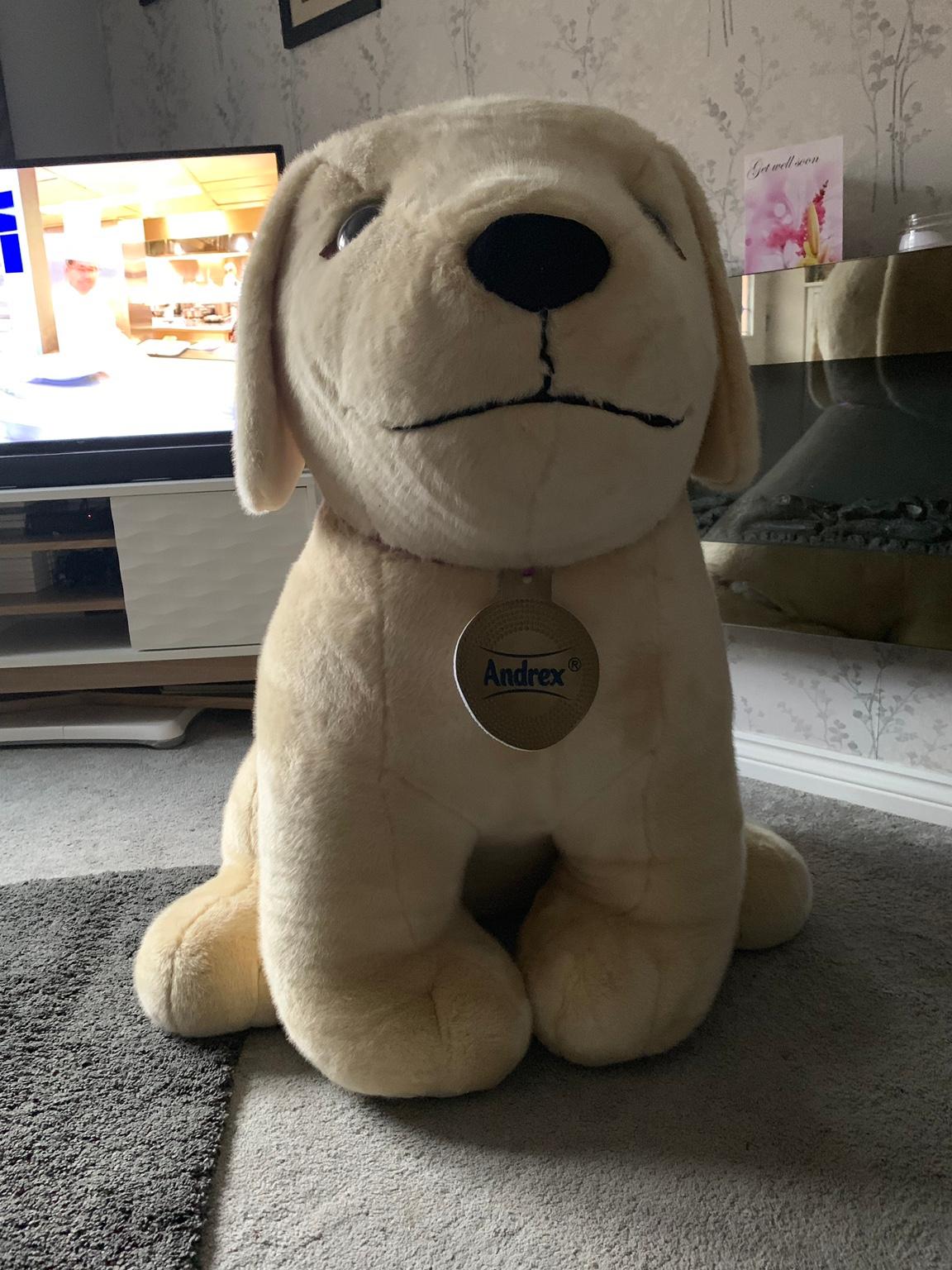 Giant andrex toy in Blaby for £20.00 for sale | Shpock