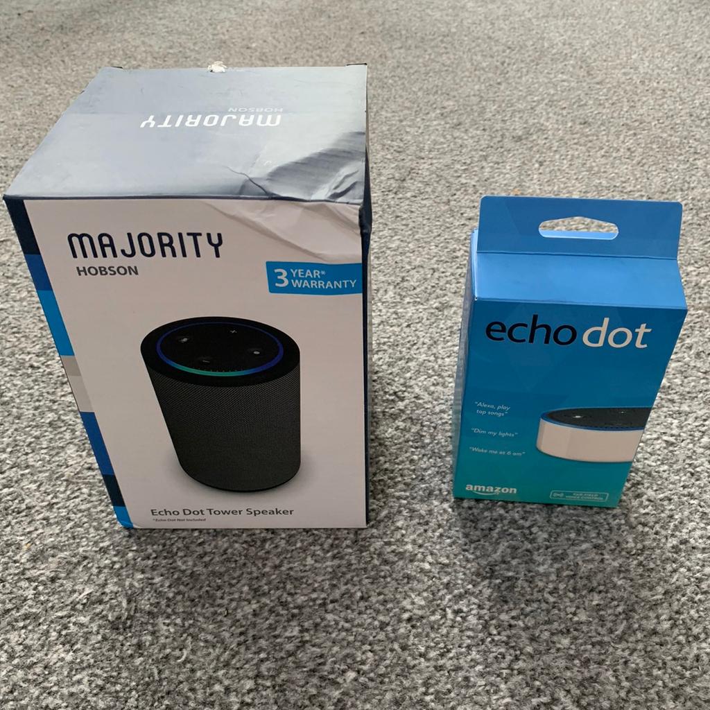 Majority 2024 echo dot