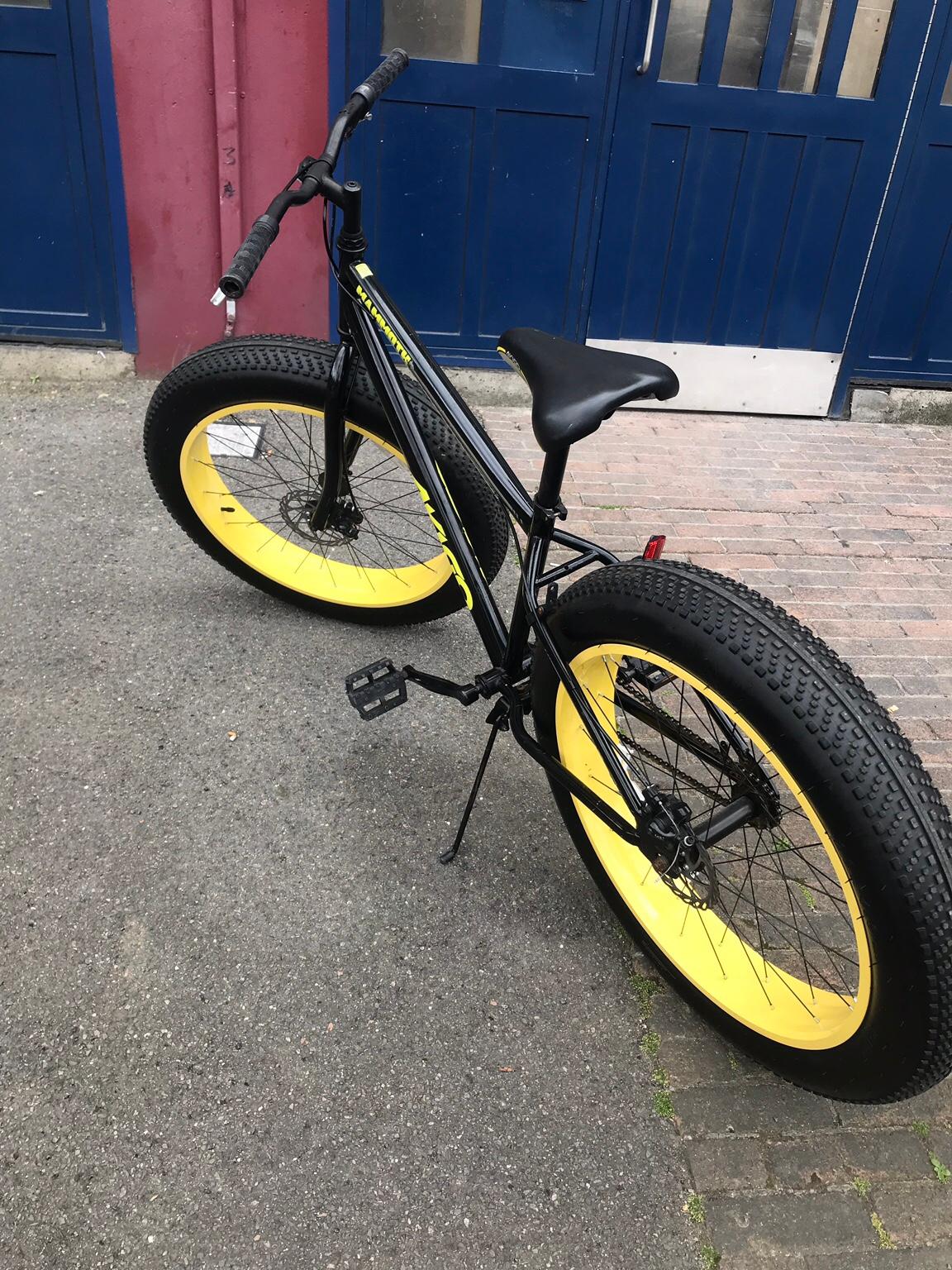 Avigo mammoth best sale fat bike