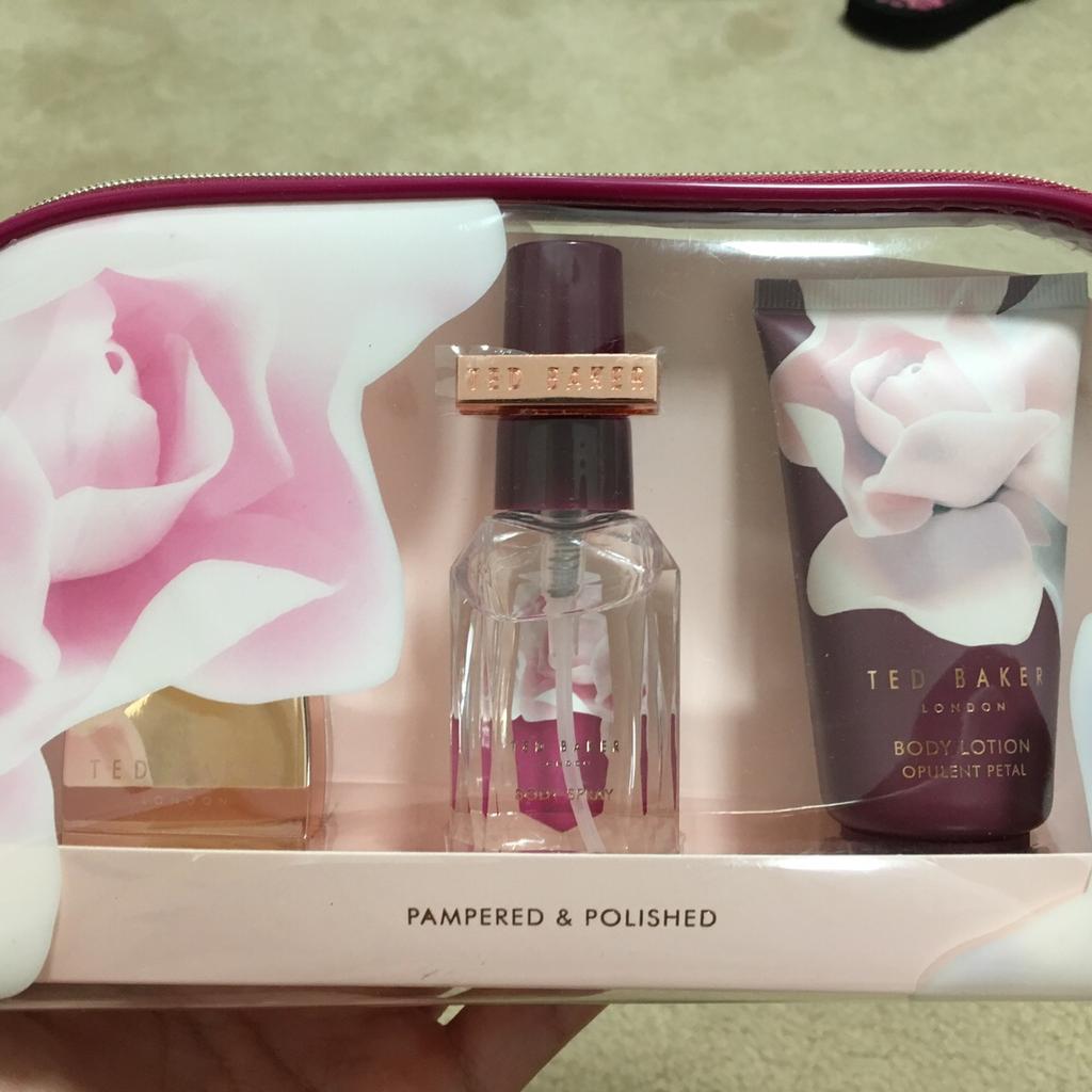 Ted baker pampered & polished mini beauty bag online gift