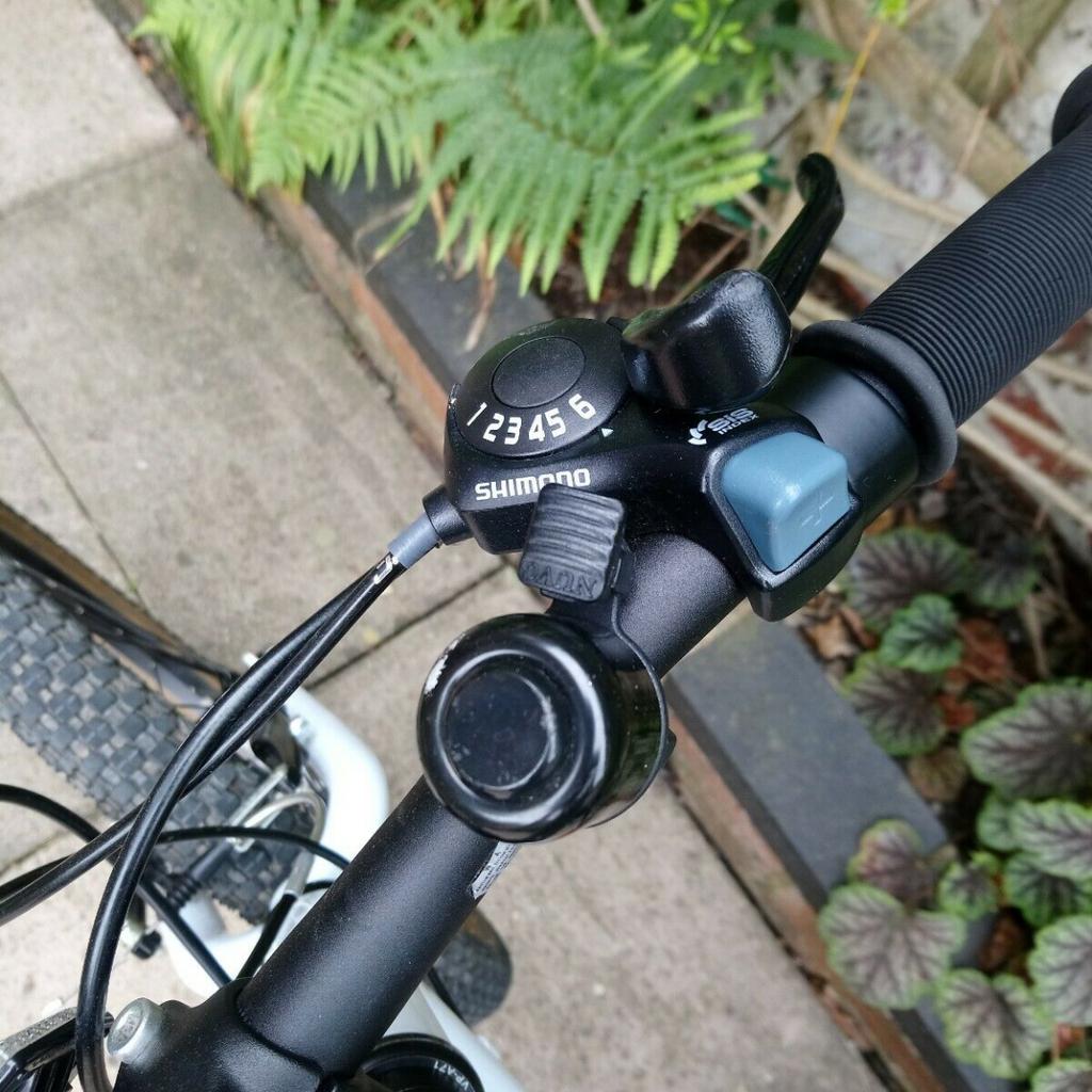 Pinnacle Ash 20 Kids Bike Islabike Frog in L17 Liverpool for £125.00 for sale Shpock