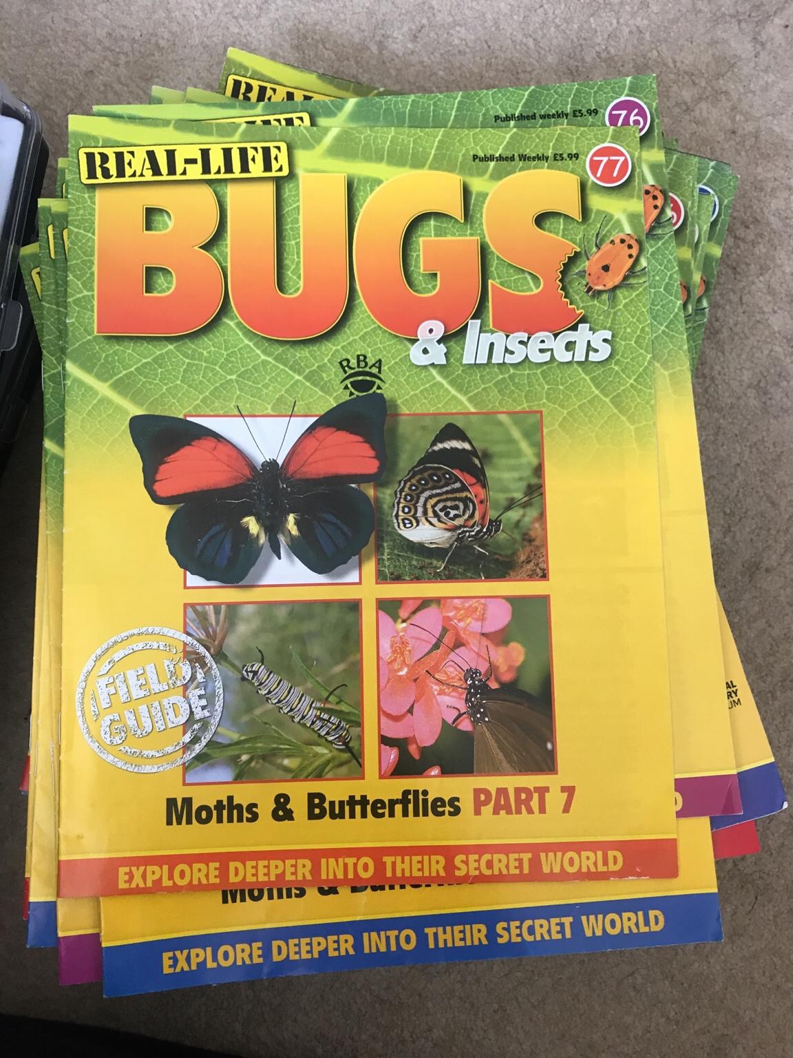 Real Life Bugs - magazines and insects in DL3 Faverdale for £30.00 for ...