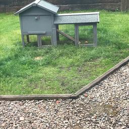 Rabbit/ guinea pig hutch, has been repainted a grey colour, in good condition however there are marks inside where the wood has been chewed. Collection from wn3.