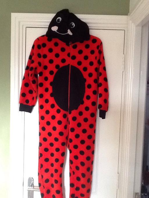 Buy & Sell Lincolnshire South Kesteven - Photos for Ladybird onesie age 10-11 yrs