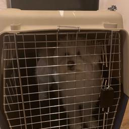 Medium sized dog crate. Perfect for transporting Dogs/cats when travelling. We used ours to bring our Dog from another country on a Plane. Separates into 2 halves and door comes off for easy storage. Dog not for sale 😅
