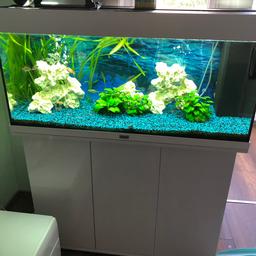 Verkaufe Aquarium Juwel 180L mit Zubehör und mit Fische und Pflanzen