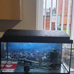 2ft by 1ft fish tank, comes with heater, filter and working light also coloured gravel ornament and 2 plastic plants water tight just emptied.