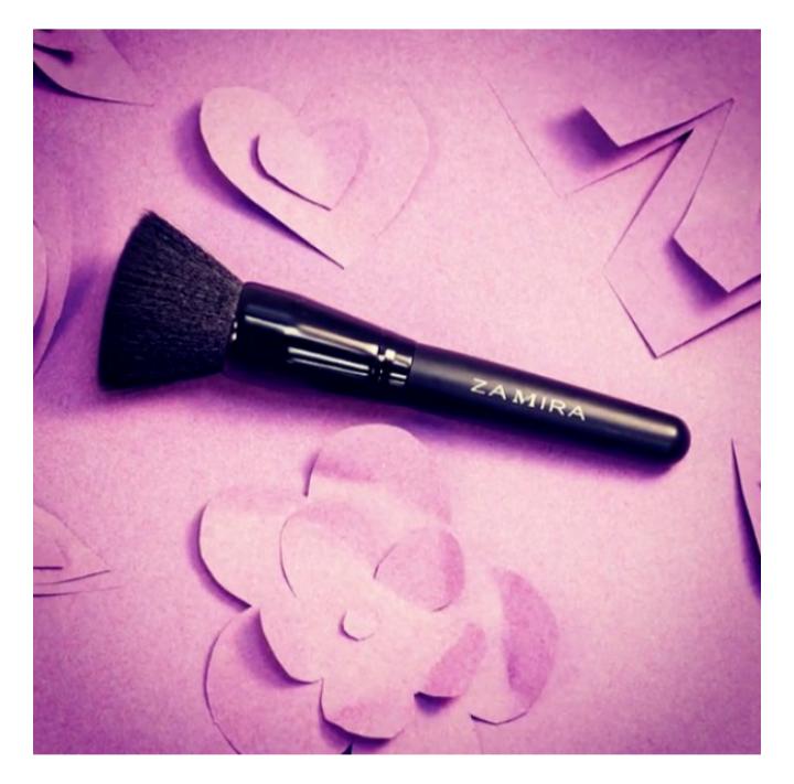Zamira Flat Top Kabuki Brush £18.95 now £4.99 in WN8 Lancashire for £4.