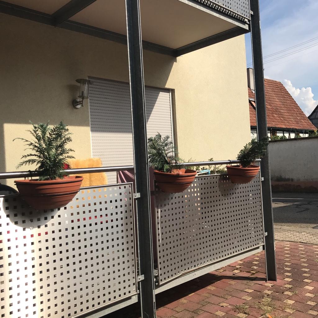 Blumenkasten in 76829 Landau in der Pfalz fr 45,00  zum Verkauf | Shpock  DE