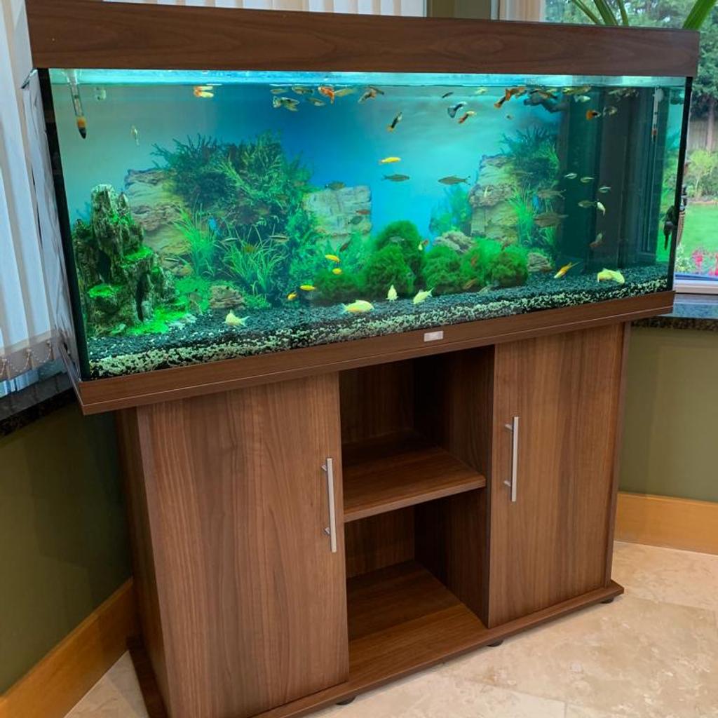 Juwel Rio 240 Aquarium Fish Tank with extras in London Borough of ...