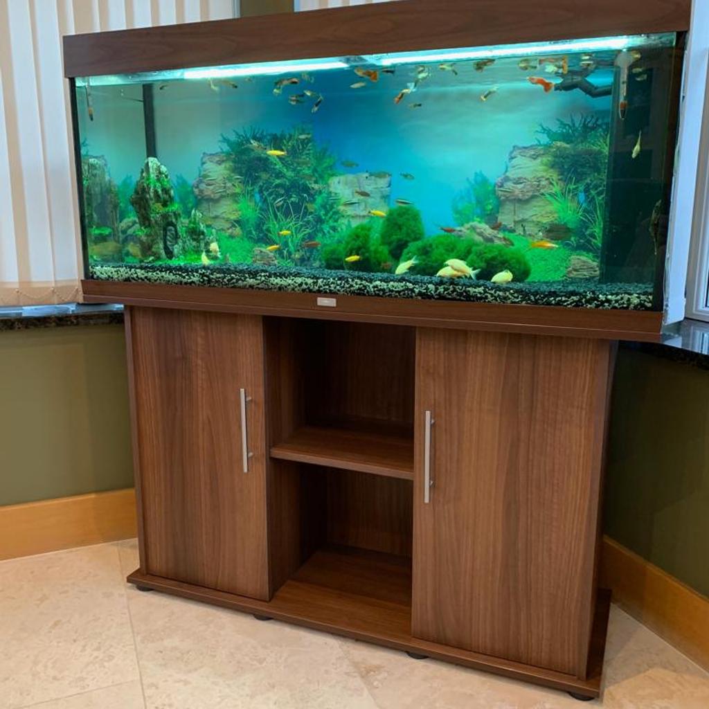Juwel Rio 240 Aquarium Fish Tank with extras in London Borough of ...