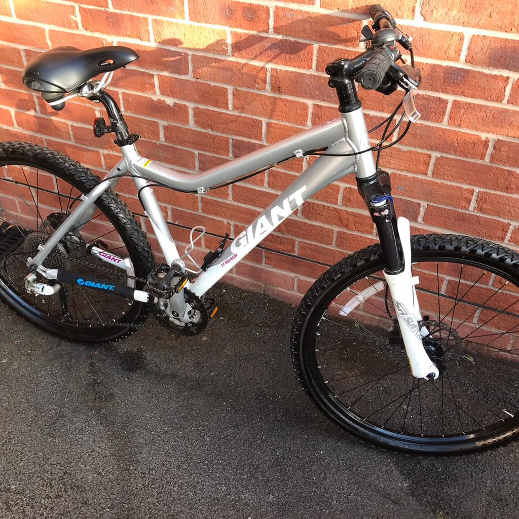 giant terrago ladies mountain bike