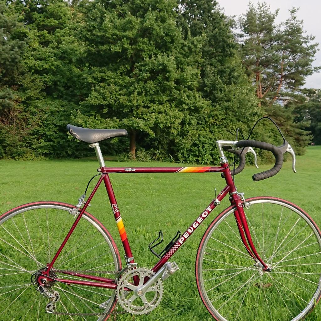 Peugeot discount aubisque 12