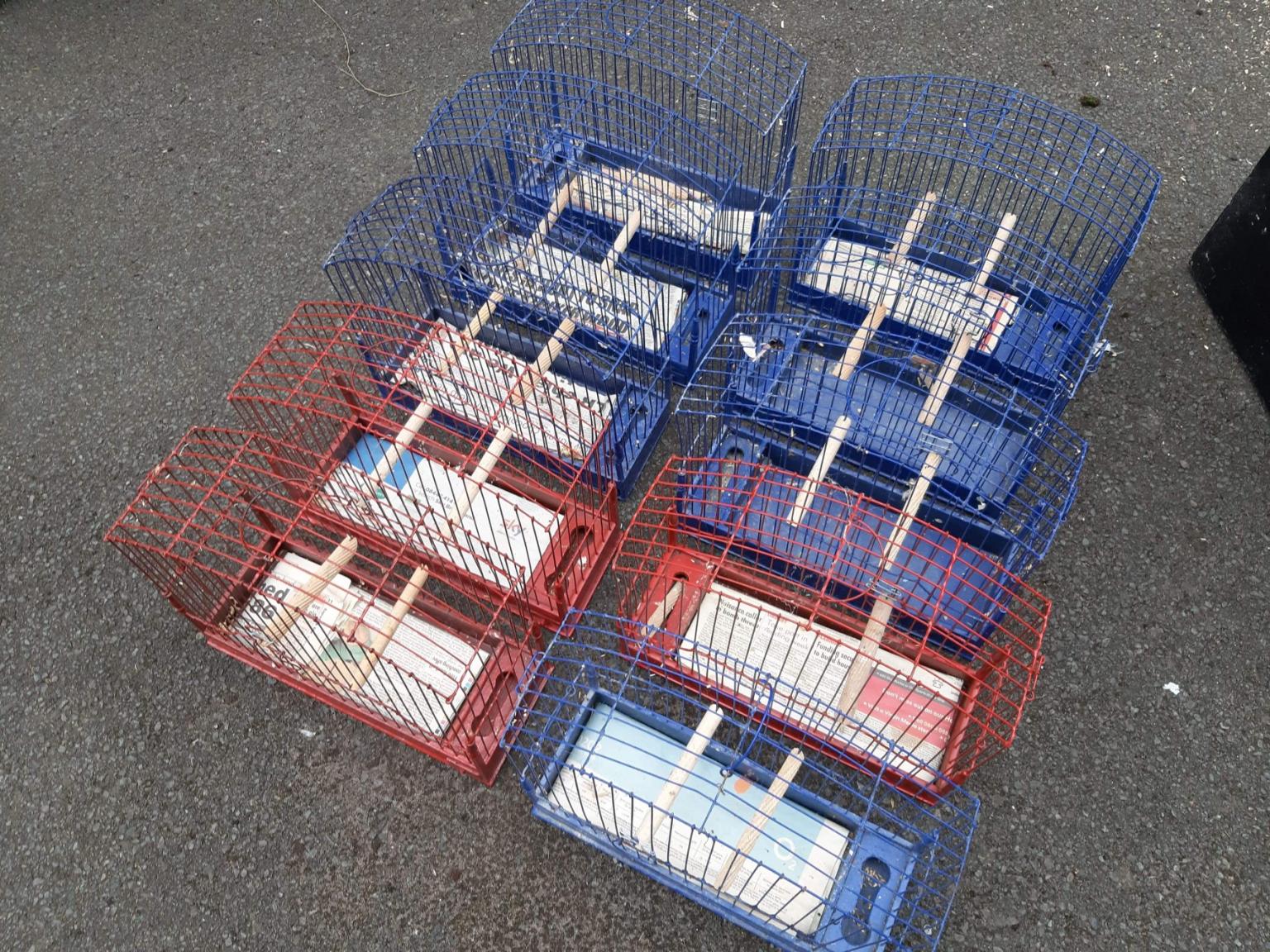 BORDER / FIFE CANARY SHOW CAGES in DY9 Dudley for free for sale Shpock