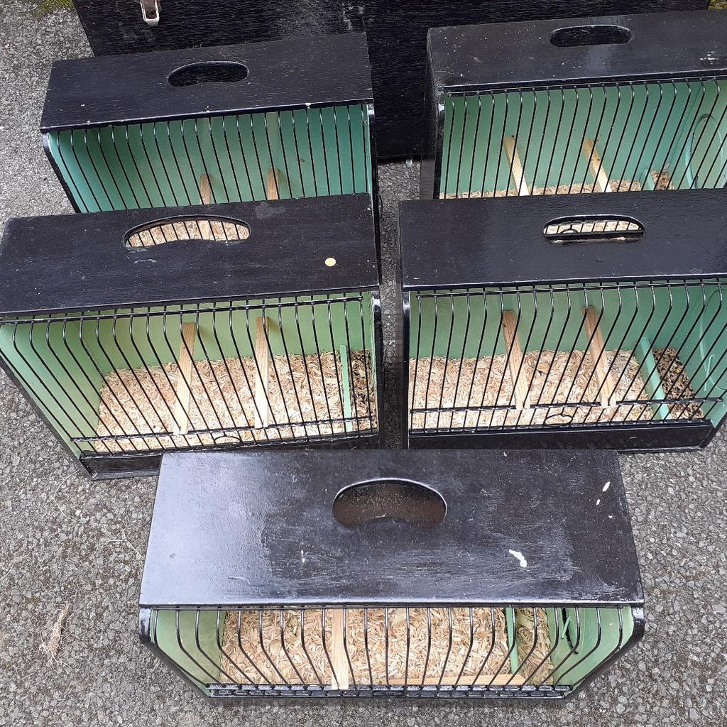 NORWICH CANARY SHOW CAGES & BOX in DY9 Dudley for £45.00 for sale Shpock
