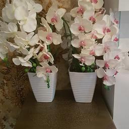 Orchideen  künstlich mit integriete Vasen  weiß und weis rosa  beide für 25 einzel 15euro