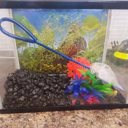 fish tank full set up
filter
air pump
gravel
plants and others
cure for poorly fish
tap safe
fish net