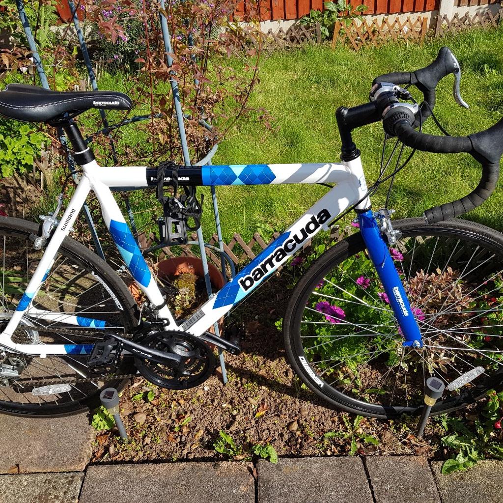Barracuda Road Bike in Ashfield für £ 150,00 zum Verkauf Shpock AT
