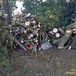 Logs free to collect