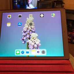 I’m selling my large iPad Pro 12.9 it has white bezel and silver back, in perfect condition it’s a 32 gig, comes with charger lead and plug, well loved and looked after always been in case, can sell with cover if needed. Only selling as need an upgrade. £450 Ono, don’t want to post.