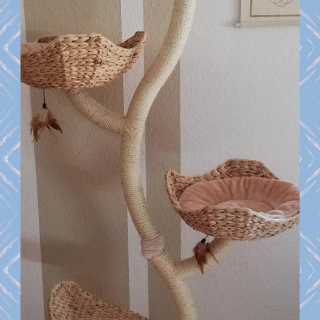 Kratzbaum Cat's Flower XXL neu! Höhe 183 cm in 68219 Mannheim für 80,00