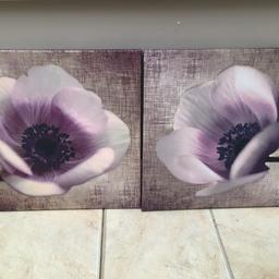 Immaculate condition canvas flower pictures x2