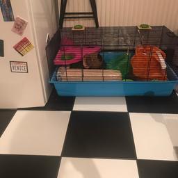 W30 x D18 x H14 (inches)
With run tubes and some accessories included (feeding bowl, wheel, toys, 1kg bedding, slide)
Collection only