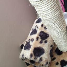 lovely cat scratching post with little part to play in
best condition