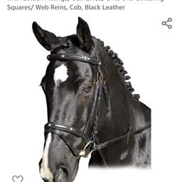 See photo diamond missing from one of the Squares.
USG Bridle Square Fake Diamonds Swedish Noseband with Golden Fittings/ Self Lined/ Glittering Squares/ Web Reins, Black Leather

￼