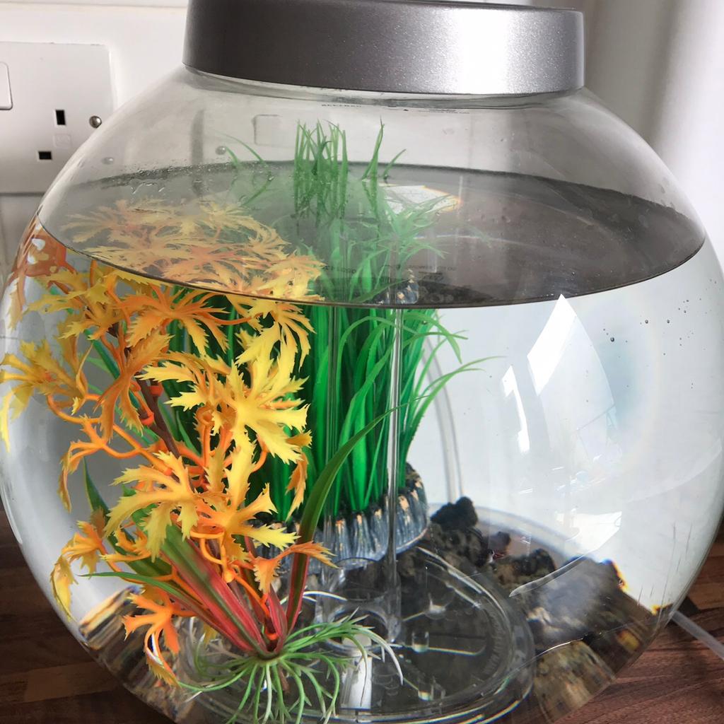 Brand new biorb 15l fish tank in RM3 London for £30.00 for sale | Shpock