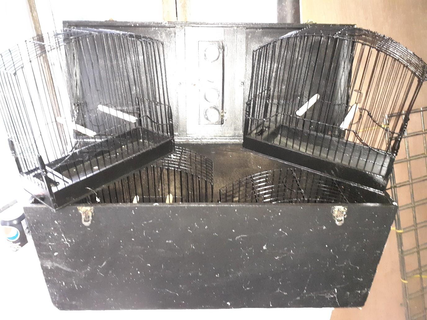FIFE BORDER CANARY SHOW CAGES & TRANSPORT BOX in DY9 Dudley for £60.00