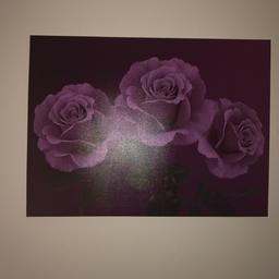 Large purple rose picture. Perfect condition