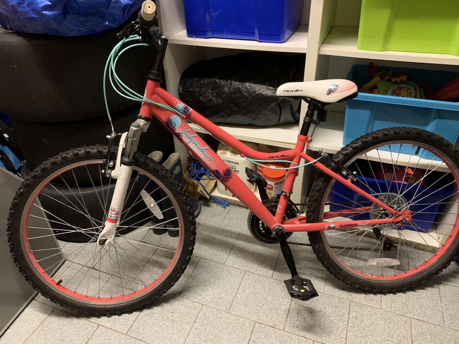 apollo independence junior mountain bike