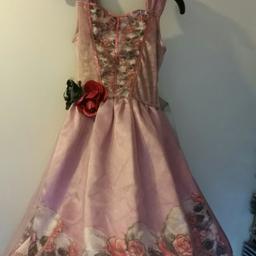GIRLS PINK HALLOWEEN PARTY HOOP DRESS.
SKULLS & ROSES.
'MISS ZOMBIE PROM QUEEN' RIBBON ON THE BACK.

VELVET AND NETTING STYLED DESIGN WITH BOTTOM HOOP LONG SKIRT AT THE BOTTOM.

WORN ONLY ONCE.