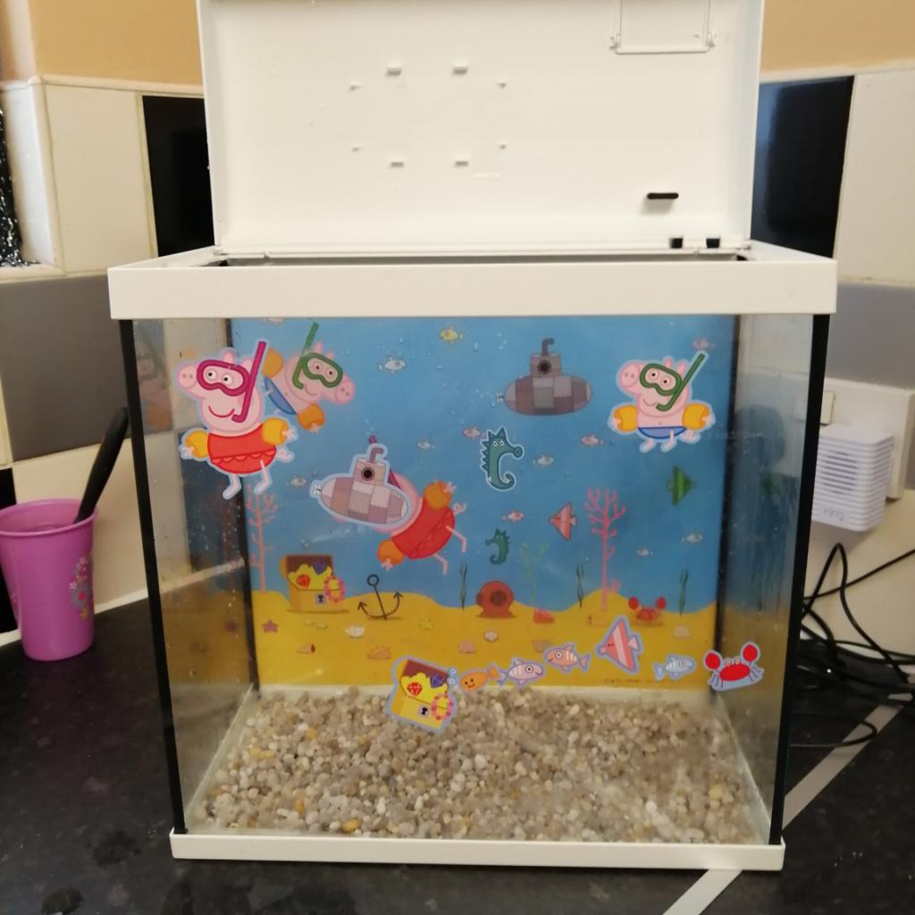 Pets at home discount peppa pig fish tank