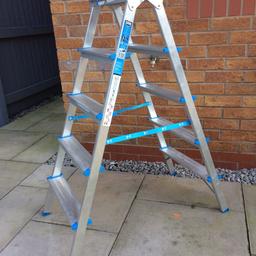 Aluminium 10 Tred Double Sided Ladders. Collection Heysham. £20

Only used a couple of times excellent condition.