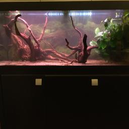 Fluval Roma 240 litre fish tank with black cabinet. Fish tank 120cm x 40cm x 55cm. Height with cabinet 126.5cm. Tank is sold empty. But includes Fluval 306 filter, heater, siphon and other extras.