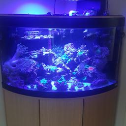 full marine tank set up..running for nearly 3 years.selling as whole.everything included.running on 2 external filters not sump.Fluval 190. Vispectra remote lights full spectrum..Deltek skimmer.all corals/fish rocks .water..wave makers..collect only.will need buckets
